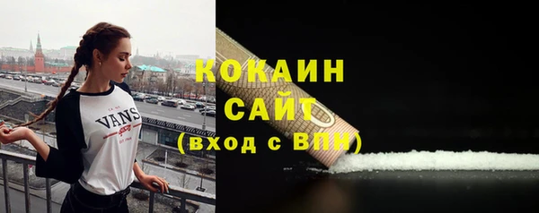 спайс Арсеньев