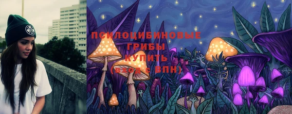 молекула духа Семёнов