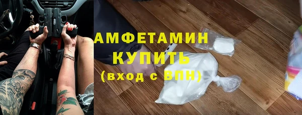 сатива Сатка